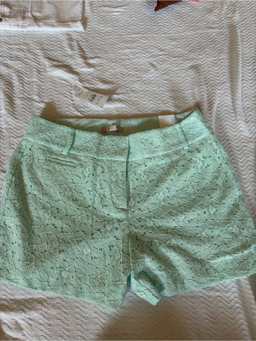 LOFT Mint Lace Bermuda Shorts